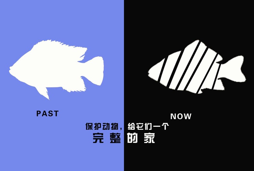 廣告設計制作有哪些要求？有哪些注意事項？