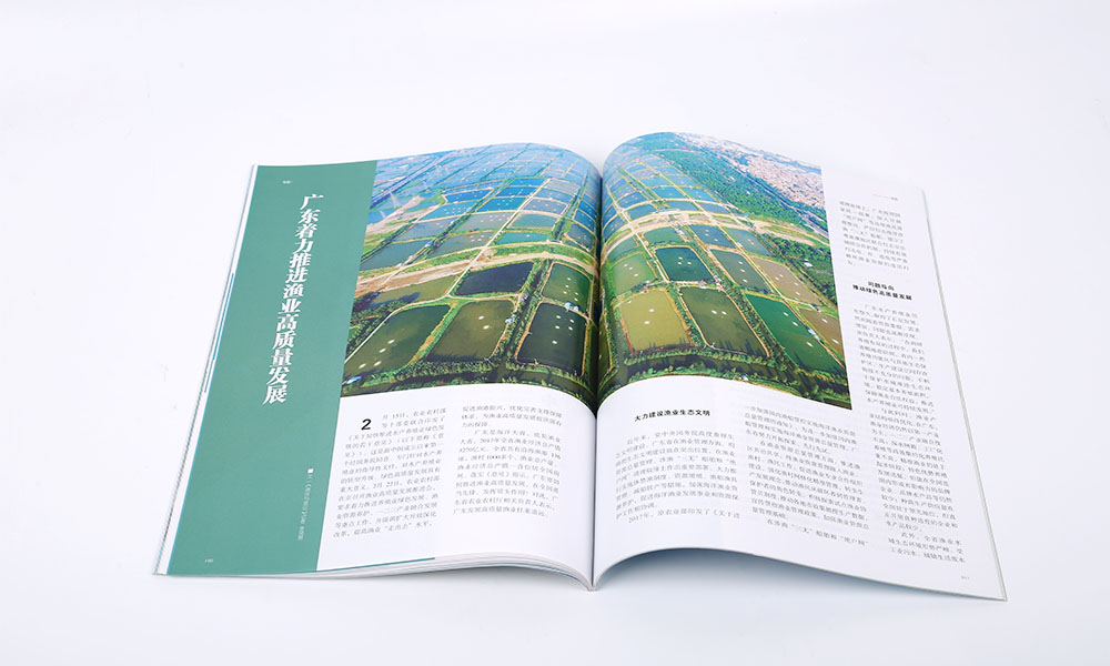 樣本宣傳冊設(shè)計制作多大尺寸？