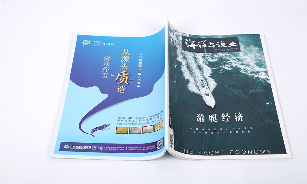 現(xiàn)在做畫冊制作哪兒好？